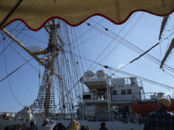 DSCF9684.gif