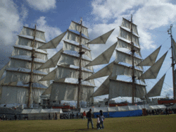 DSCF9691.gif