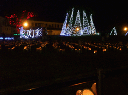 DSCF9693.gif