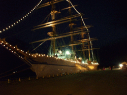 DSCF9694.gif